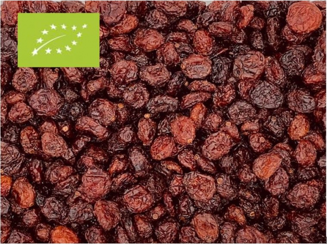 Zonsverduistering bijkeuken Implicaties Cranberry's biologisch kopen? | Snelle levering! - Notenstore